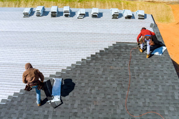 Best Flat Roof Repair Services  in Bowman, ND